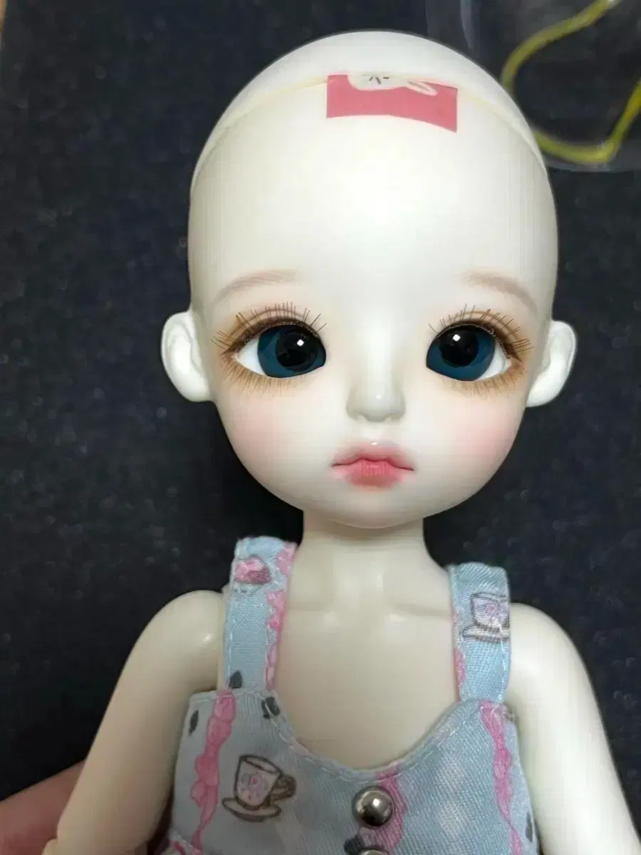 thumbnail-0